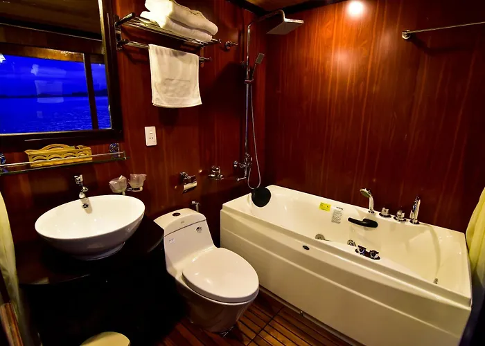 Renea Cruises 4* Hạ Long